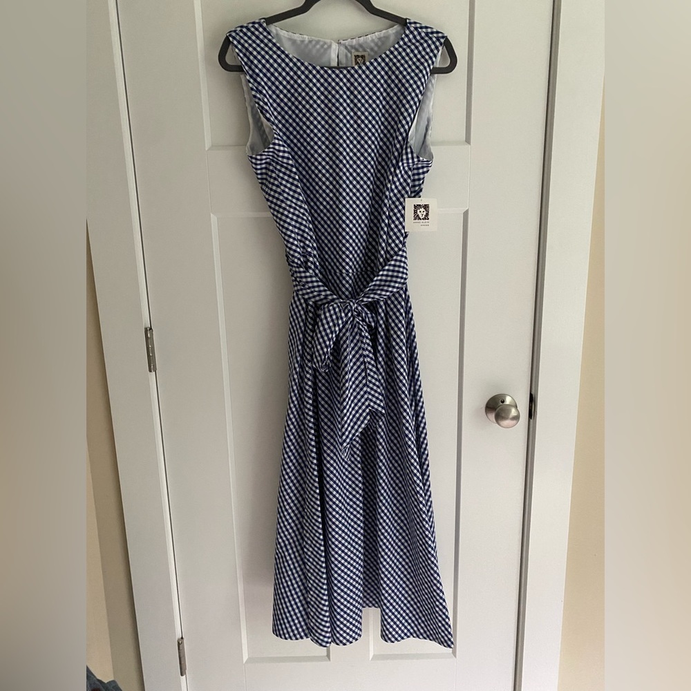 NWT blue white gingham print sleeveless a-line dress.